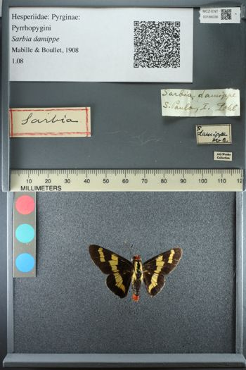 Media type: image;   Entomology 186036